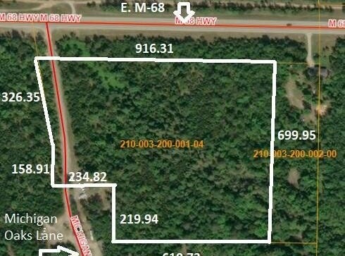 12 Acres Michigan Oaks Lane, Indian River, MI 49749