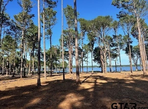 Cr 309 CR 309, Frankston, TX 75763