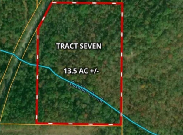 Tract 7 - County Road 313, Wedowee, AL 36278
