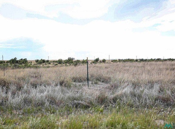 Mallard Ave, Roswell, NM 88201