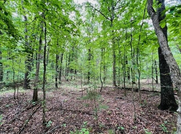 000 Boiling Springs Road, Licking, MO 65542