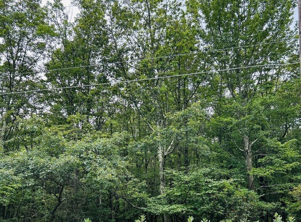 Lot A107 Chippy Circle, Jim Thorpe, PA 18229