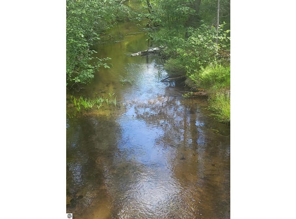0 Vaughn Road, Hale, MI 48739
