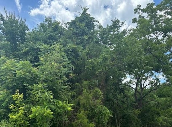 Tract B,1874 Thayer Road, Trinity, NC 27370