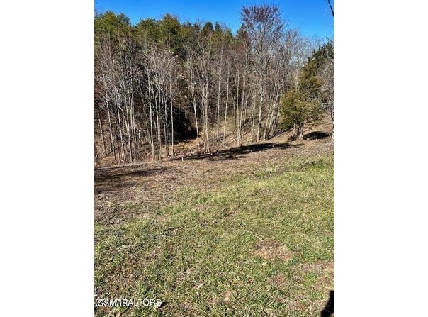 Lot 1a 2009 Scott Street, Sevierville, TN 37876
