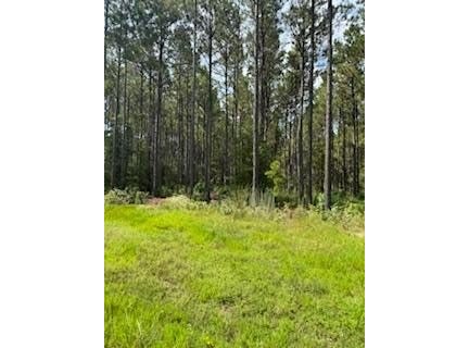 228 Private Rd 8010, Pineland, TX 75968
