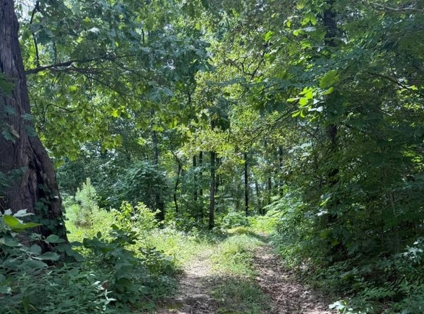 324 County Road 426, Rector, AR 72461