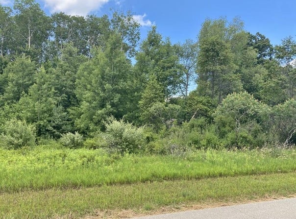 11390 Old Pierce Road, Stanwood, MI 49346