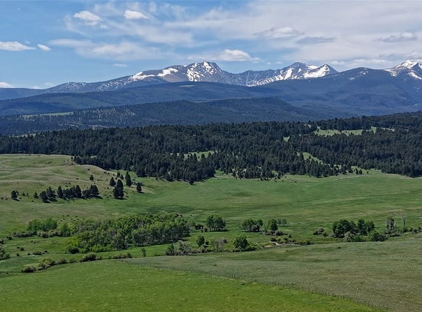 NHN Lot 10 Willow Creek Loop Road, Deer Lodge, MT 59722