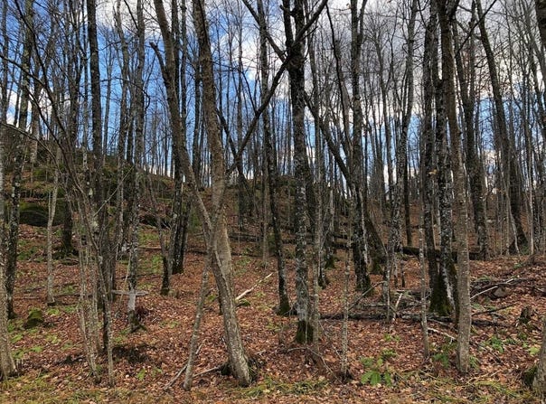Outlot 3 SKYE DR, Upson, WI 54565