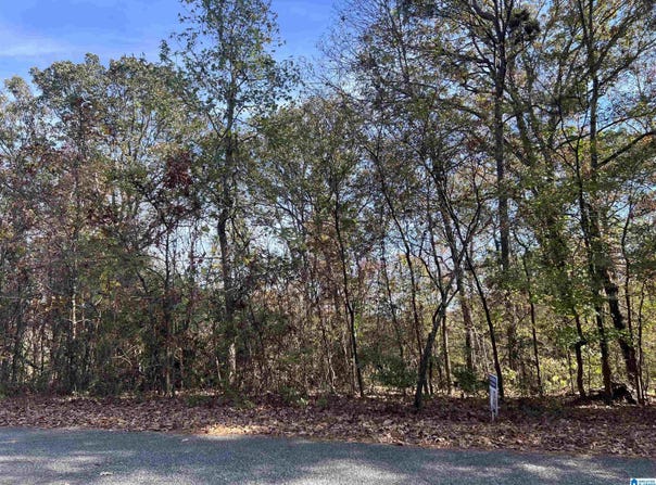 0 WATER OAK LANE, ALPINE, AL 35014