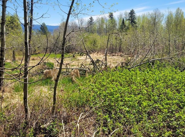 1602 Bear Trail Loop, Donnelly, ID 83615