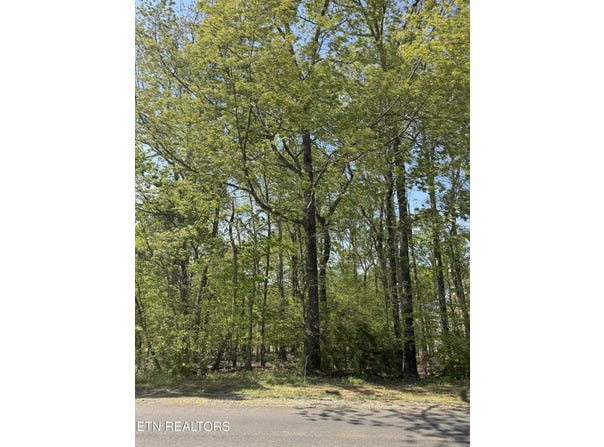 443 Kahite Trail, Vonore, TN 37885
