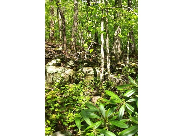 Buckeye Lane lot: 47, Wilder, TN 38589
