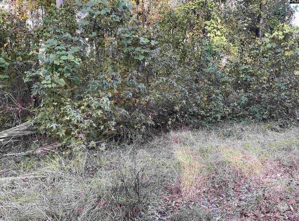 3551 Moonlight Road, Barnwell, SC 29853