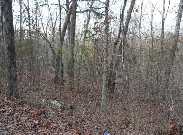 000 Algonquin Circle, Cherokee Village, AR 72529
