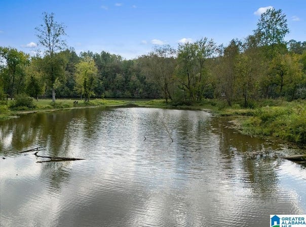404 MULBERRY HOLLOW lot: 11, CORDOVA, AL 35550