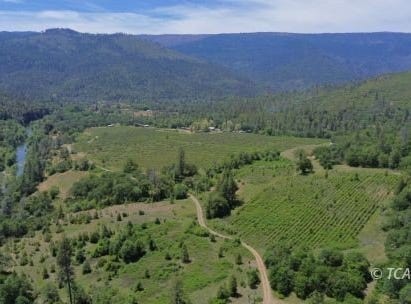 321 Olsen Creek Rd, Hyampom, CA 96046
