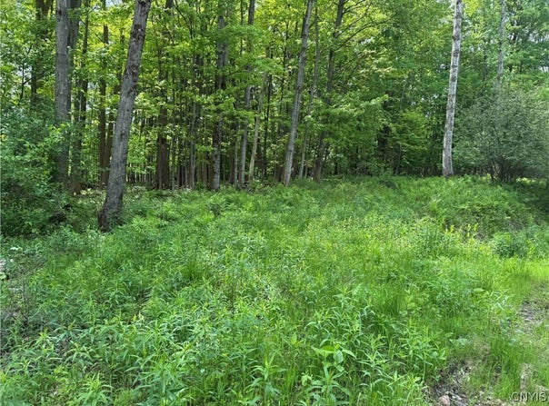 CR-48, Ellery, NY 14701