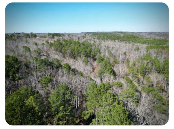 US-278, Double Springs, AL 35553