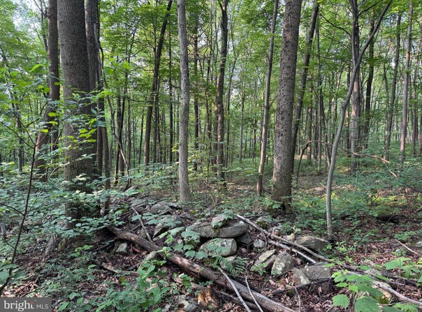 5.5+/- ACRES MOUNTAIN GREEN ROAD, WILLOW HILL, PA 17271