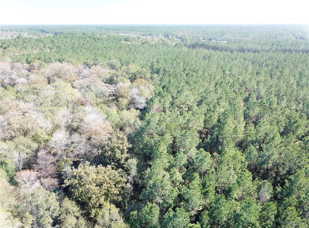FM 770, Kountze, TX 77625