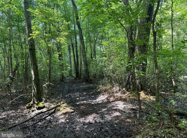 TEMPLE ROAD, MARYDEL, MD 21649