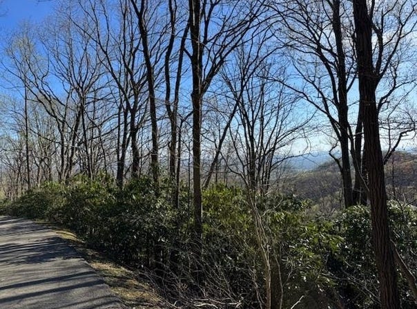 Tbd Buck Hollar Rd., Hillsville, VA 24343