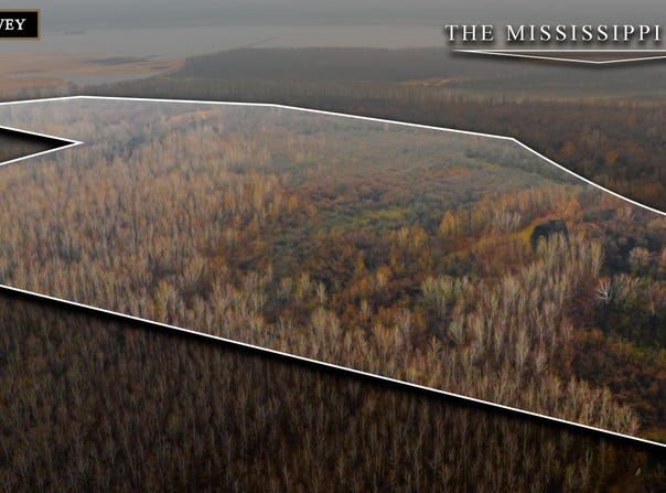 State Route 79, Ridgely, TN 38080