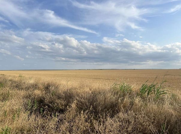 0 FM 1812, Merkel, TX 79536