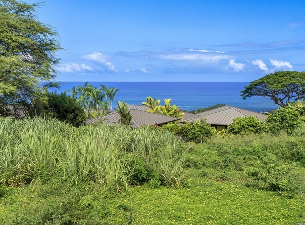81-6624 HIAAIONO PL, Kealakekua, HI 96750