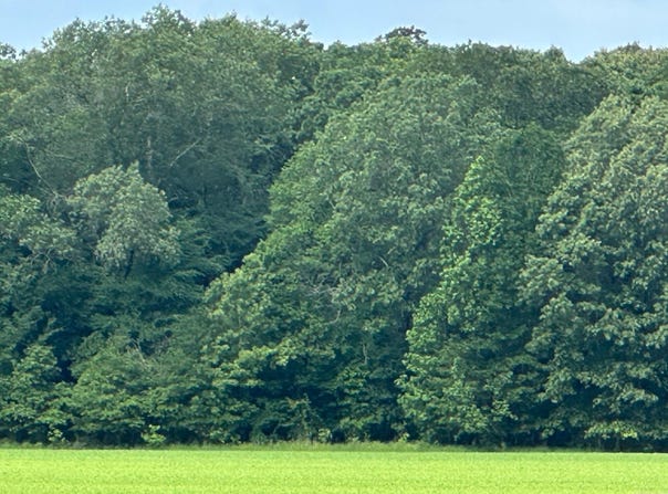 hwy 189 n, Hamburg, AR 71646