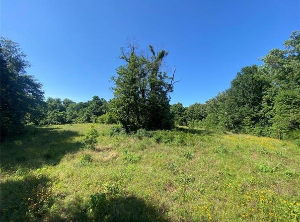 1482 N 4210 Road, Hugo, OK 74738