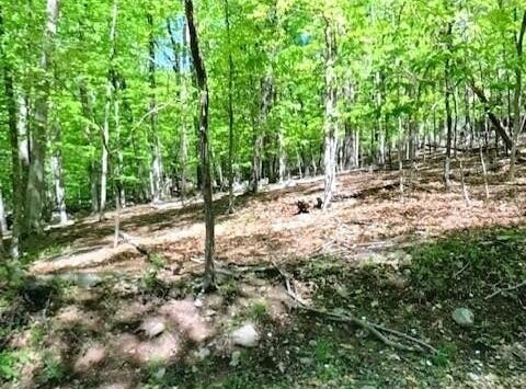 Highland Ter 7G, East Stroudsburg, PA 18301
