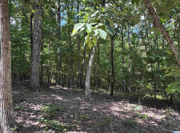 0 ALLISON LANE, TRUSSVILLE, AL 35173