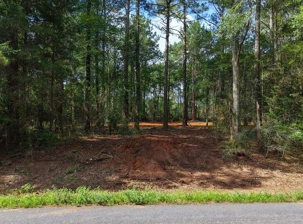 3.34+/- (Lot 3 A) E Dogwood Trail, Coffee Springs, AL 36318