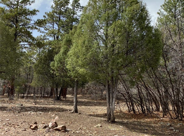 Private Drive 1754 blk 2 lot 24, Chama, NM 87520