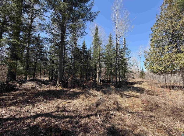 115 Marks Rd, Esko, MN 55733