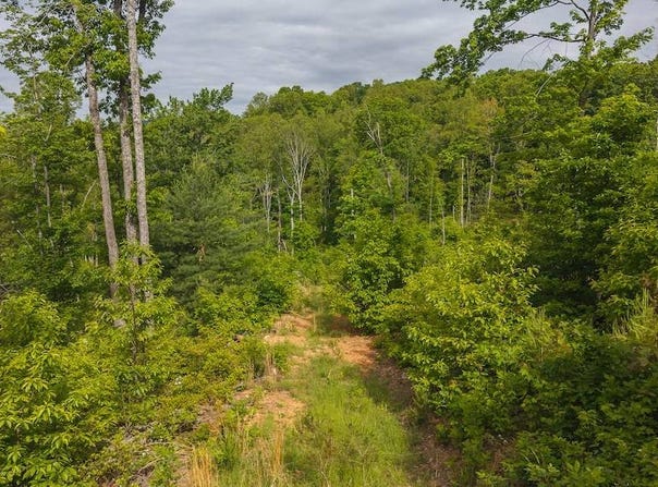 TBD Cove Gap Rd, Moravian Falls, NC 28697
