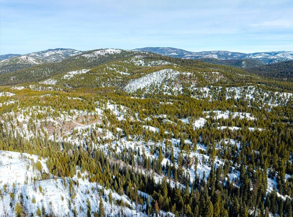 Nhn Whitney Lake Road, Libby, MT 59923