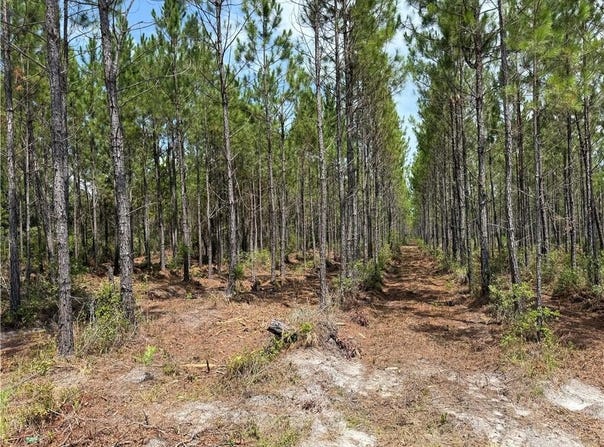 0 (lot 6) Corbitt Road, Manor, GA 31550