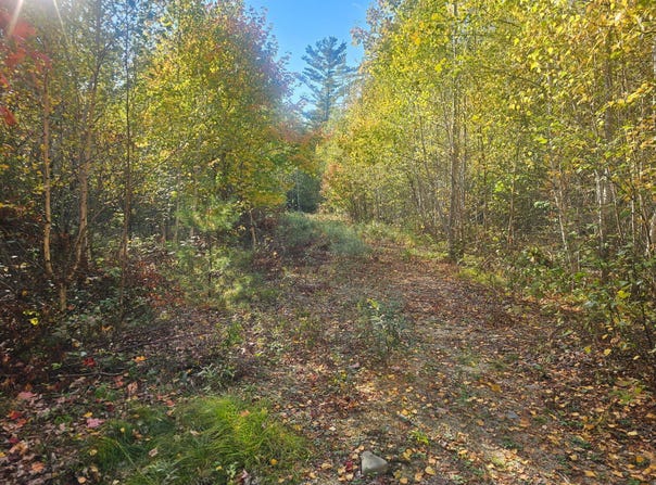 154 Lower Road lot: 35, Deblois, ME 04622