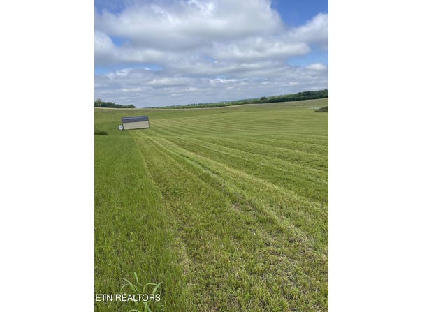5771 Hwy 95 S, Greenback, TN 37742