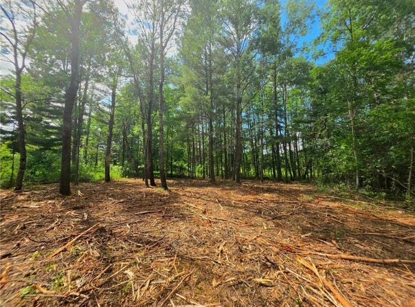000 Pine Avenue S, Sandstone, MN 55072
