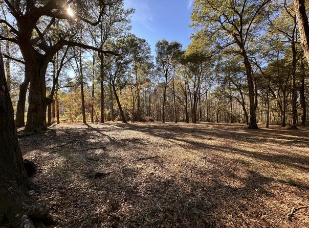0 Cane Slash Road, Johns Island, SC 29455