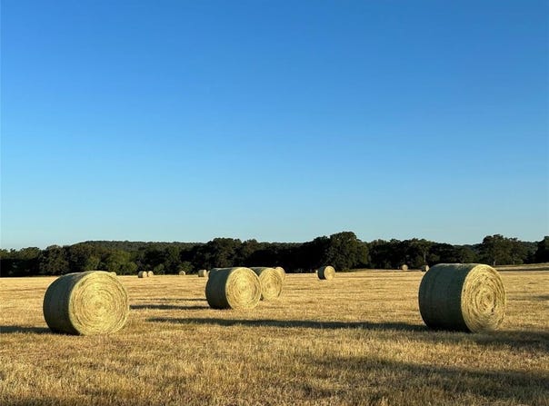 600 Wilson Bend Road, Millsap, TX 76066