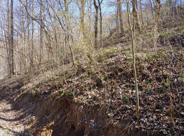 0 Birch Hollow Road, Stanton, KY 40380