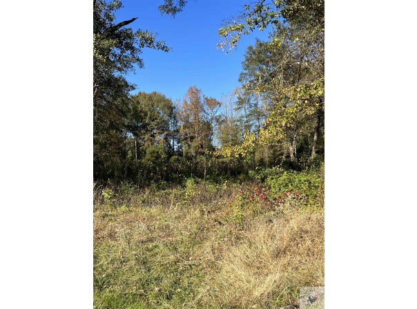301 Baker St, Atlanta, TX 75551