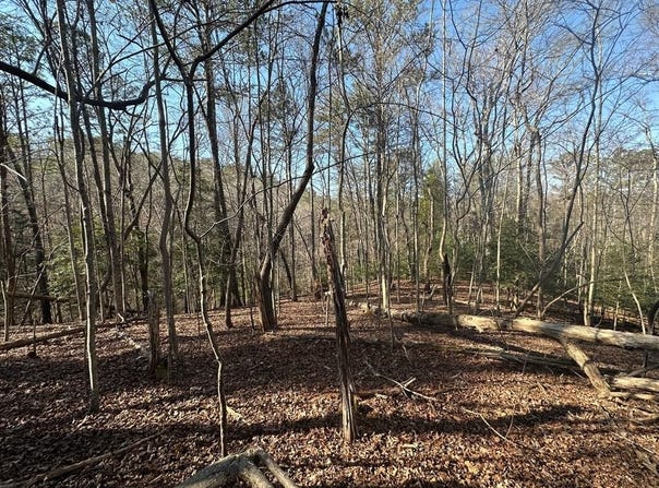 Lt10&11r Villa Drive, Ellijay, GA 30540