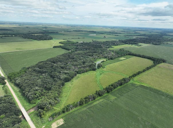 170th St, Riceville, IA 50466